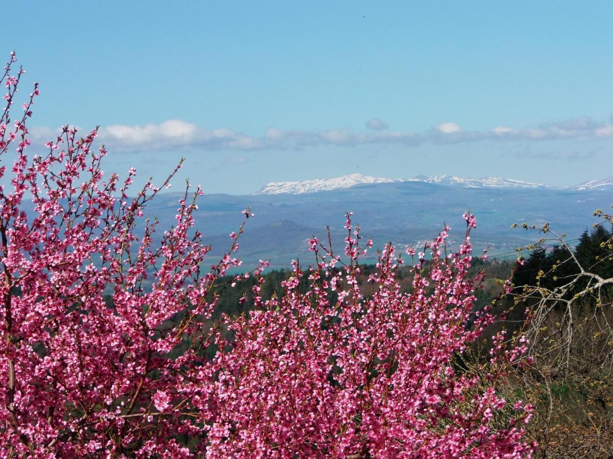 Le Vallon d'Armandine, gîte écologique Auvergne Saint-Hilaire  Exterior foto