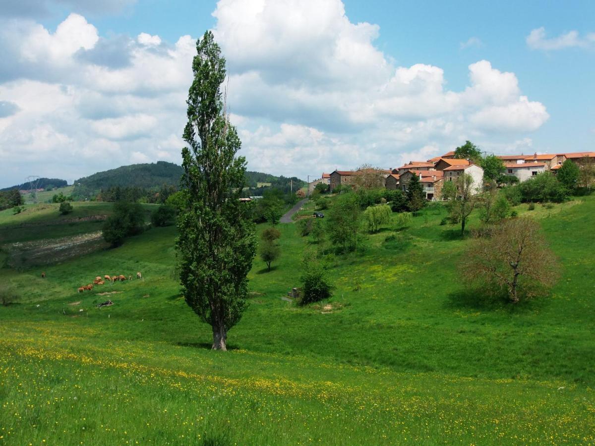 Le Vallon d'Armandine, gîte écologique Auvergne Saint-Hilaire  Exterior foto